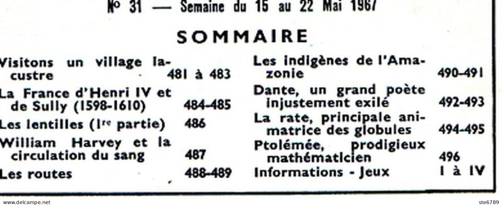 Tout L'univers 1967 N° 31 Village Lacustre , Les Lentilles , Les Routes , Indigènes De Amazonie , Dante Poete , La - Allgemeine Literatur