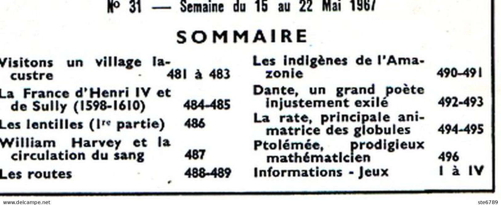 Tout L'univers 1967 N° 31 Village Lacustre , Les Lentilles , Les Routes , Indigènes De Amazonie , Dante Poete , La - Informations Générales