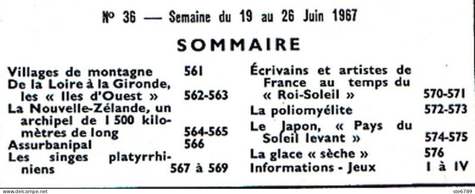 Tout L'univers 1967 N° 36 Iles D'Ouest , Nouvelle Zélande , Assurbanipal , Singes Platyrrhiniens , Jaapon , - Informations Générales