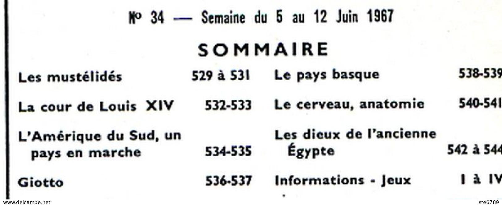 Tout L'univers 1967 N° 34 Mustélidés , La Cour De Louis XIV , Amérique Du Sud , Giotto , Le Pays Basque , Cerveau - Informaciones Generales