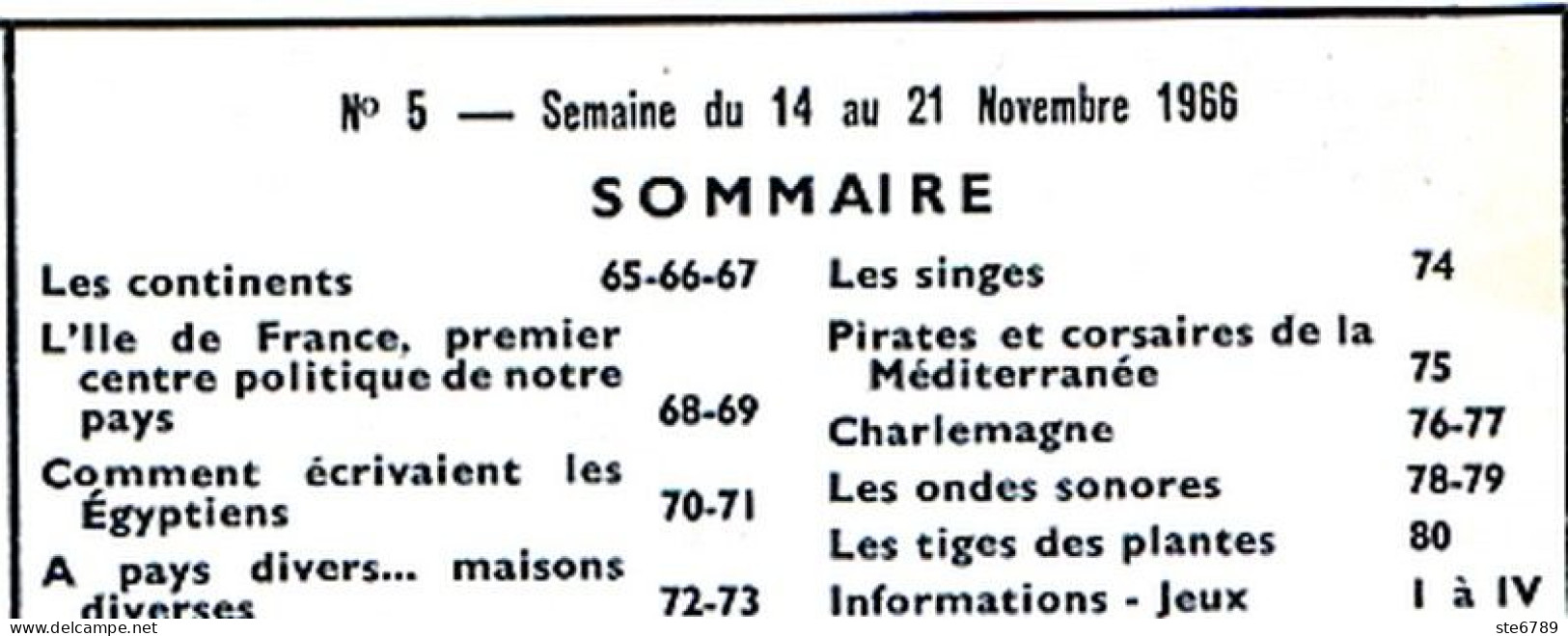 Tout L'univers 1966 N° 5  Ile De France , Continents , Les Singes , Piates Méditerranée , Charlemagne , Ondes Sonores - Informations Générales