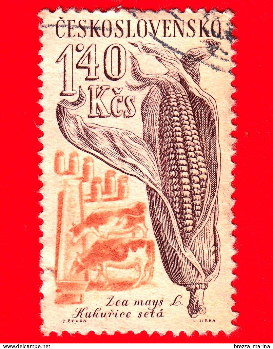 CECOSLOVACCHIA - Usato - 1961 - Coltivazioni Agricole - Mais E Bestiame - 1.40 - Oblitérés