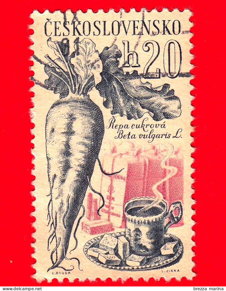 CECOSLOVACCHIA - Usato - 1961 - Coltivazioni Agricole - Barbabietola Da Zucchero, Tazza E Piattino - 20 - Gebraucht