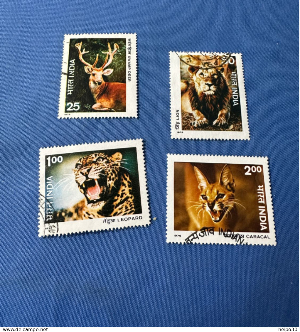 India 1976 Michel 691-94 Tierschutz - Used Stamps