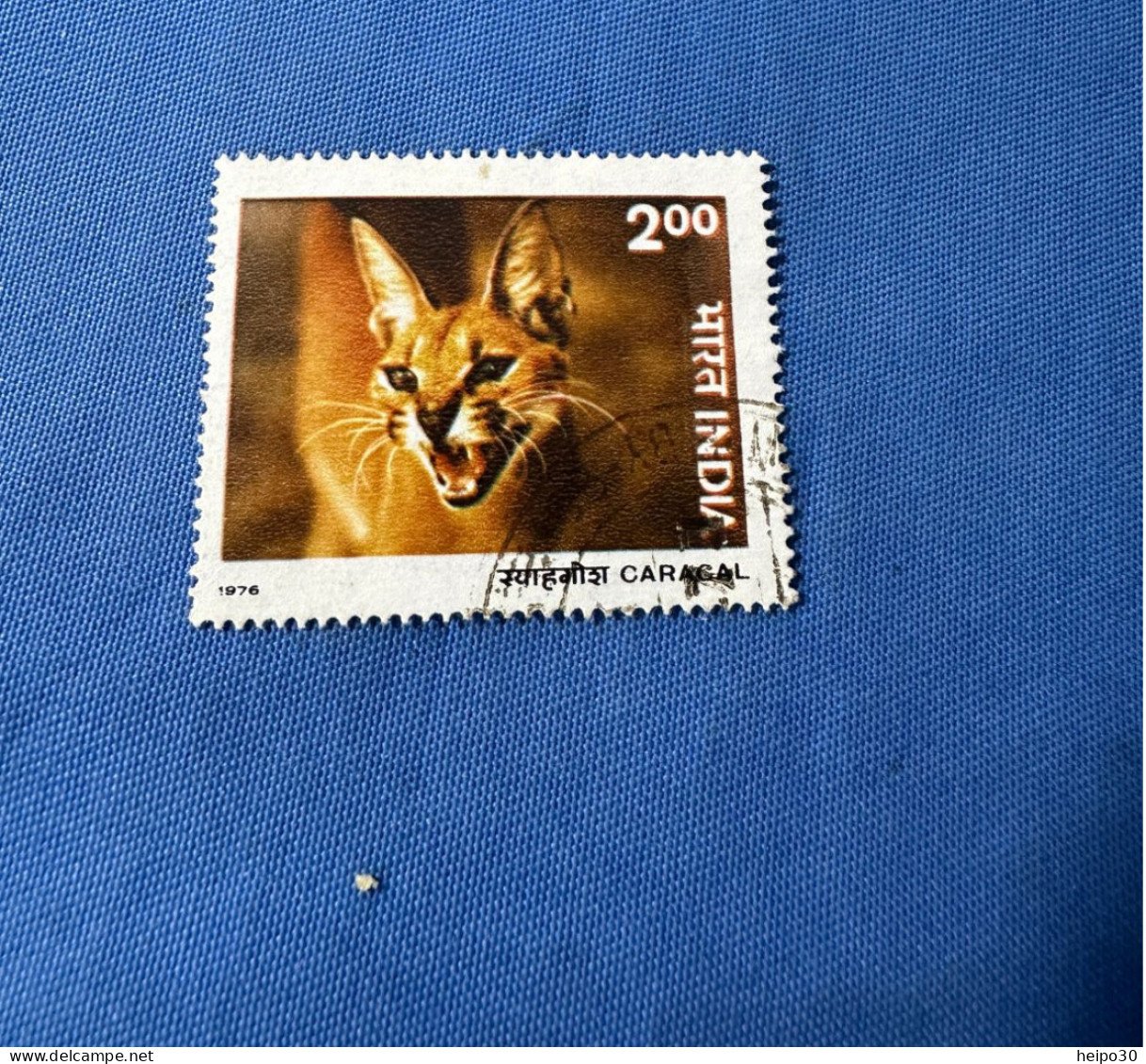 India 1976 Michel 694 Tierschutz - Used Stamps