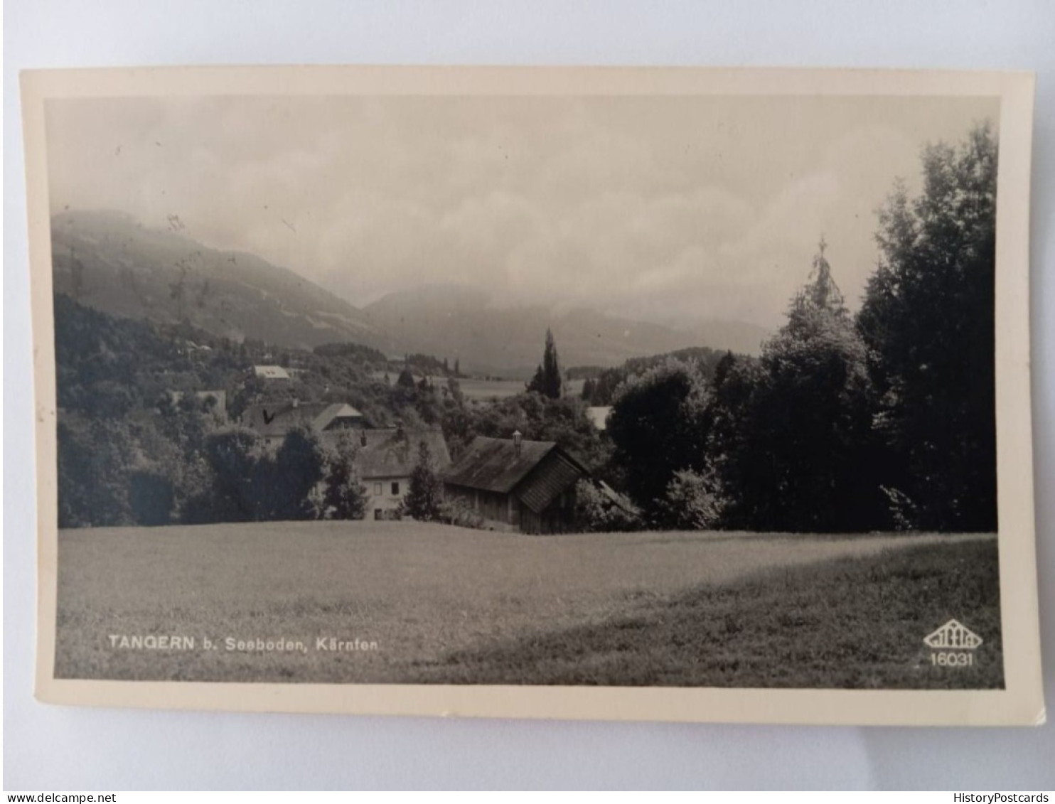 Tangern Bei Seeboden, Kärnten, Gesamtansicht,1938 - Spittal An Der Drau