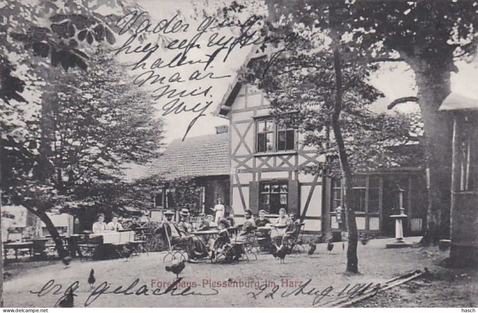 2525	113	Forsthaus Plessenburg, Harz (1913) - Ilsenburg