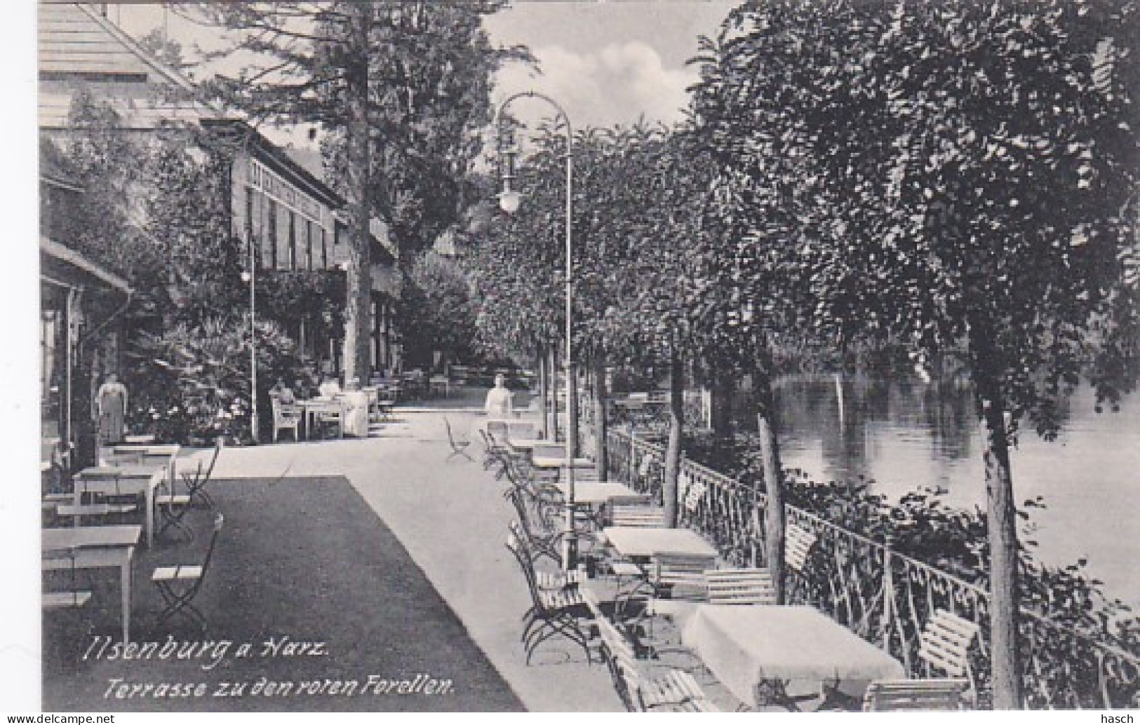 2525	116	Ilsenburg A Harz, Terrasse Zu Den Roten Forellen. - Ilsenburg