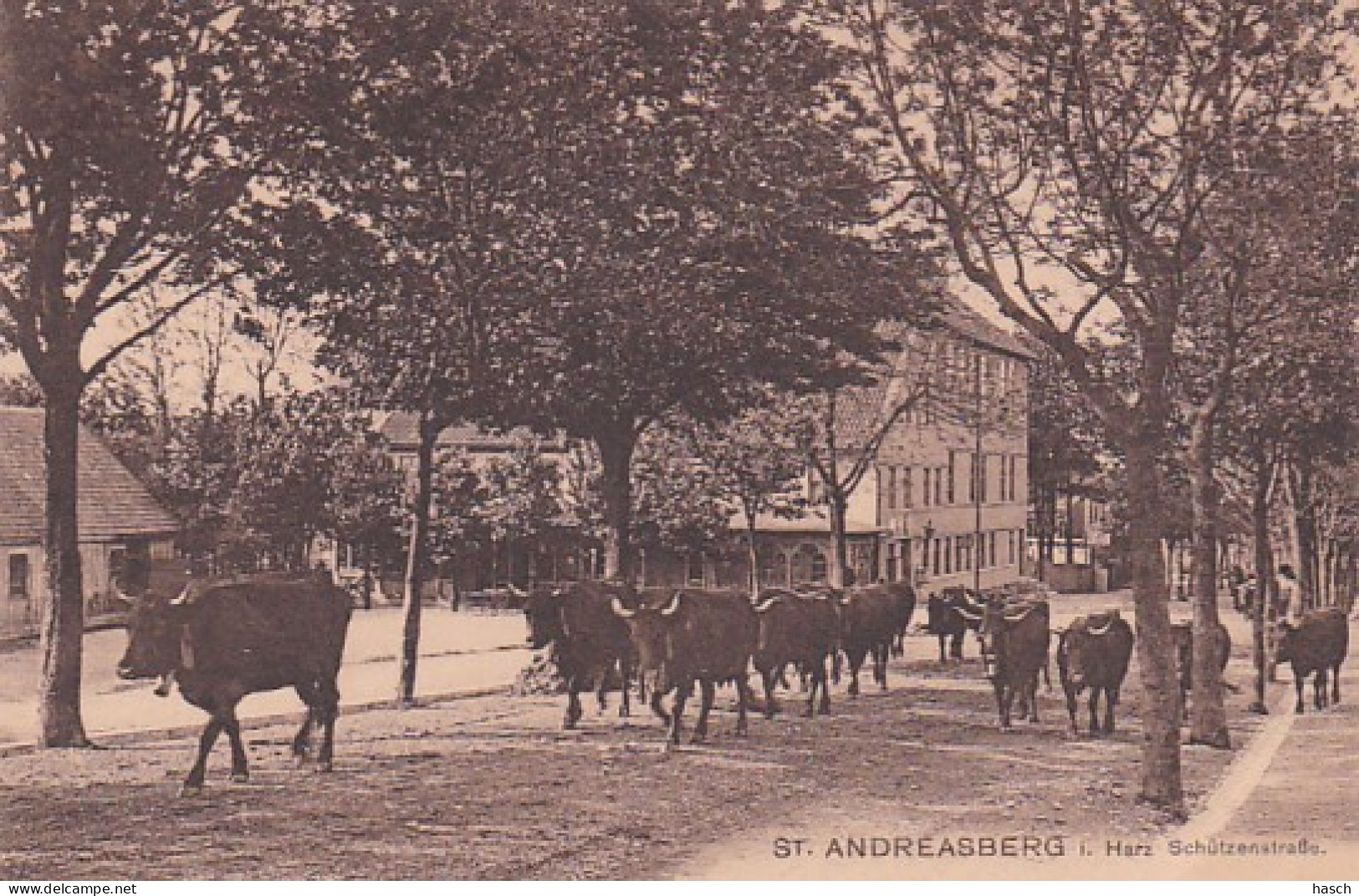 2525	193	St Andreasberg I Harz, Schützenstrasse.  - St. Andreasberg