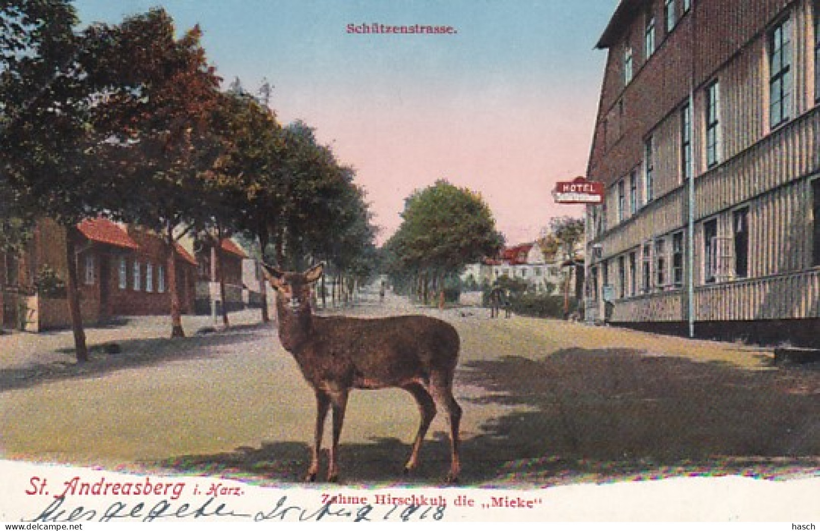 2525	194	St Andreasberg I Harz, Schützenstrasse Mit Hotel Schützenhaus. - St. Andreasberg