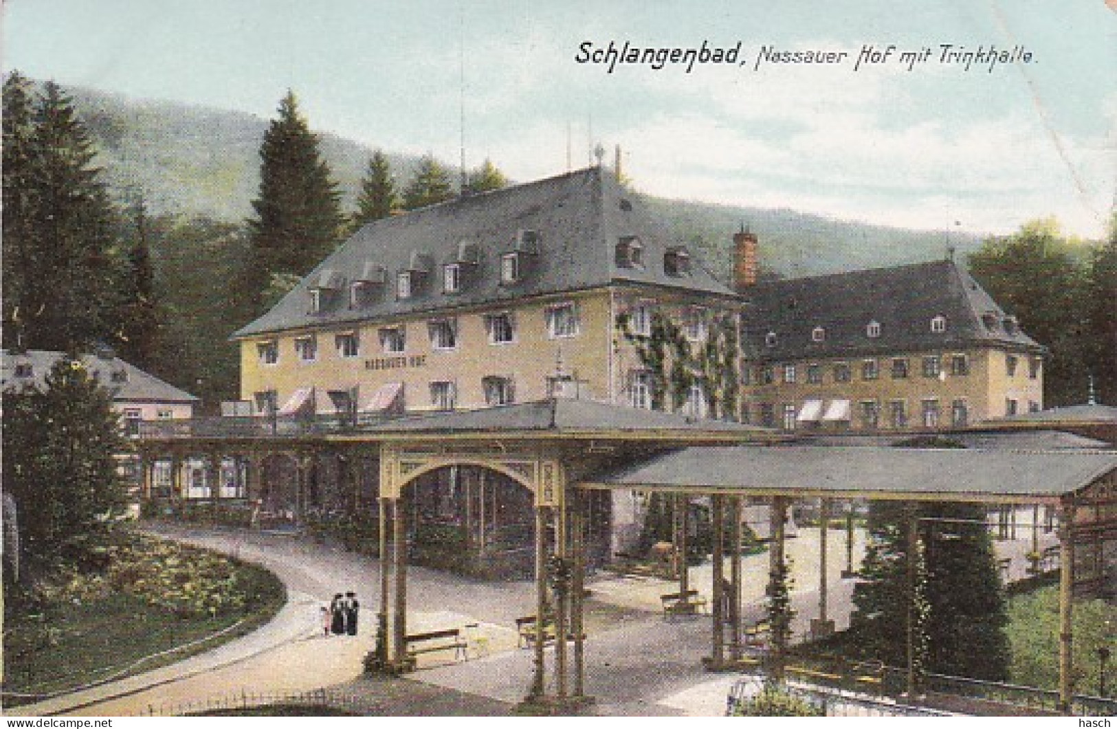 2525	205	Schlangenbad, Nassauer Hof Mit Trinkhalle (sehe Rechts Oben Falte) - Schlangenbad