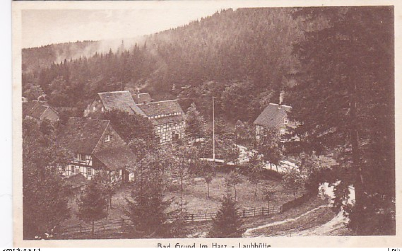 2525	217	Bad Grund Im Harz, Laubhütte.  - Bad Grund