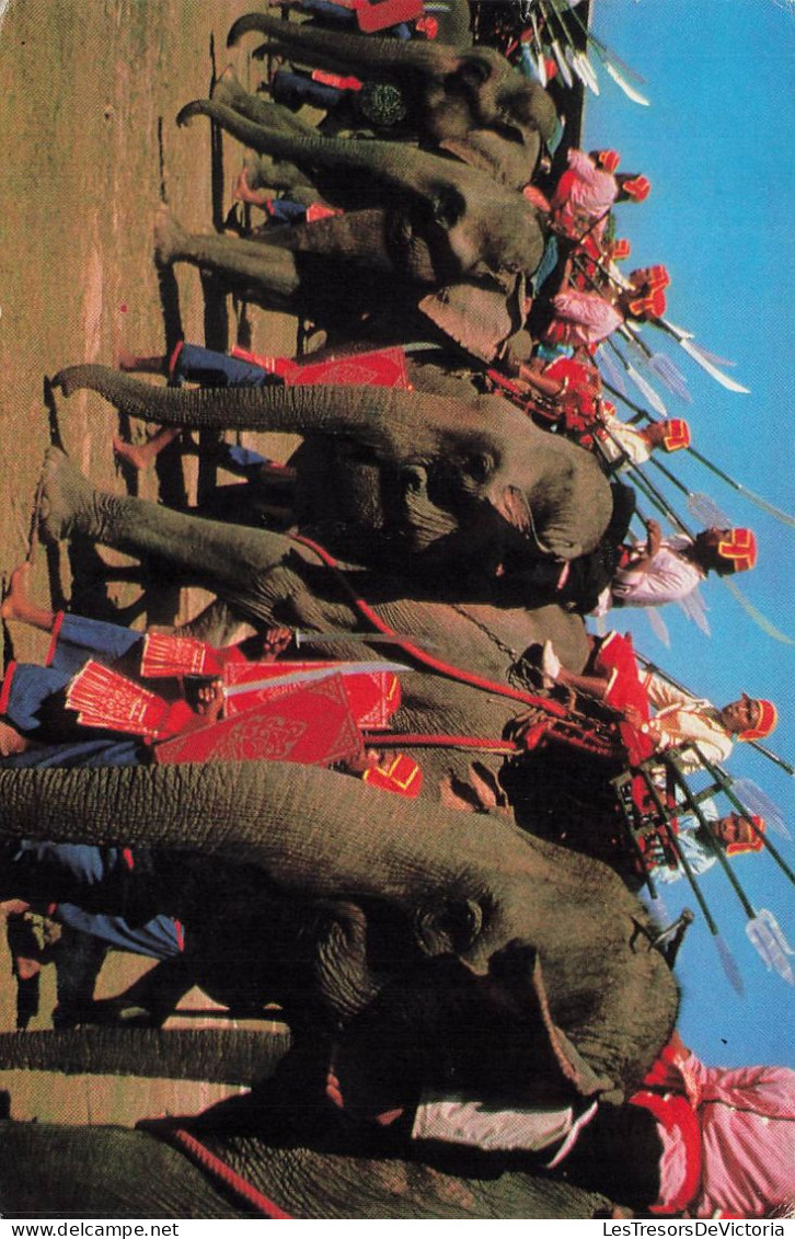 THAILAND - Shoxing The Ancient Time Elephants In The War - At Surin Province In Thailand  - Carte Postale - Thaïlande