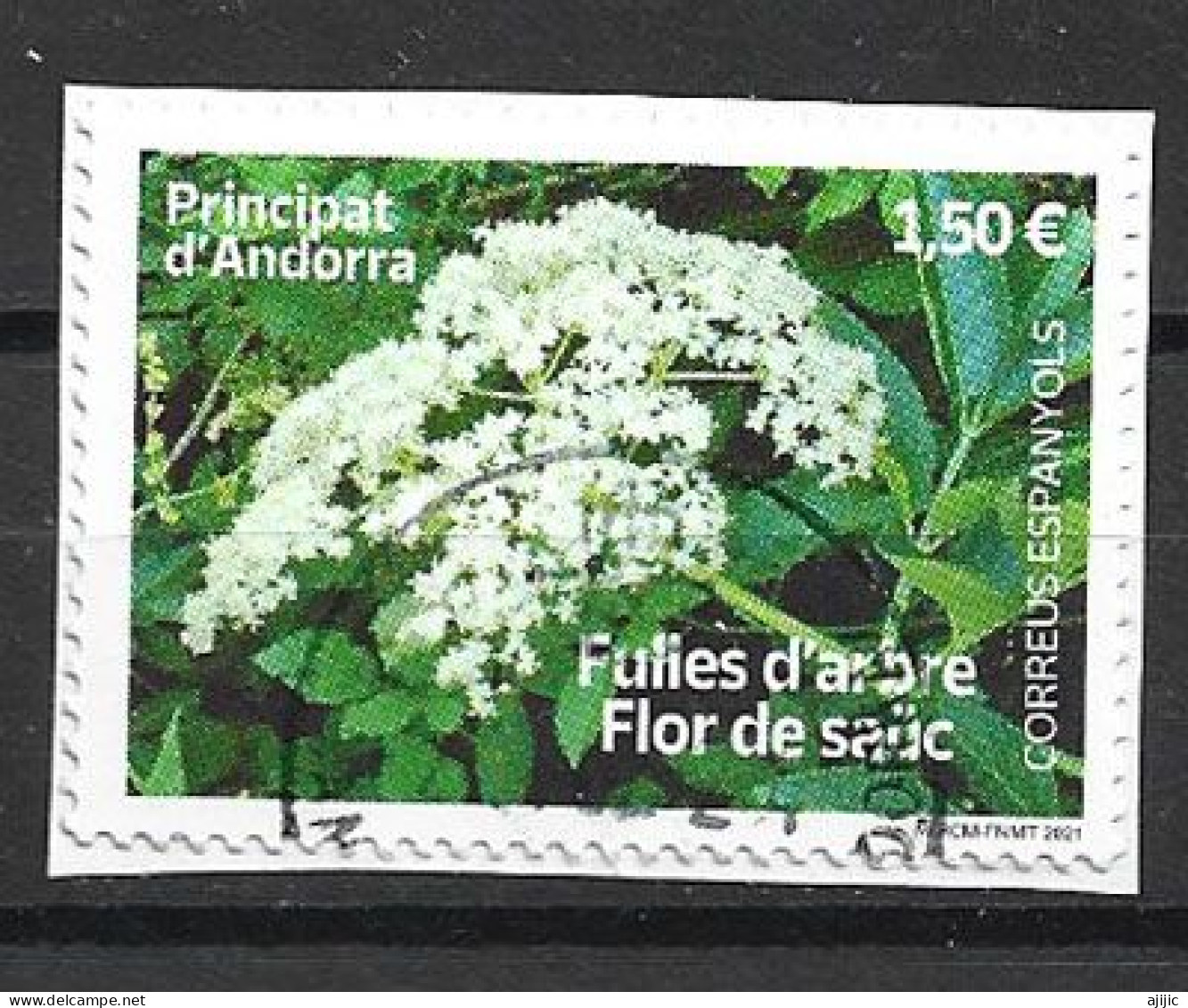 Fleur De Sureau / Flor De Sauco , Oblitéré 1 Ere Qualité.  2021 (sello Cancelado 1ª Calidad) - Used Stamps