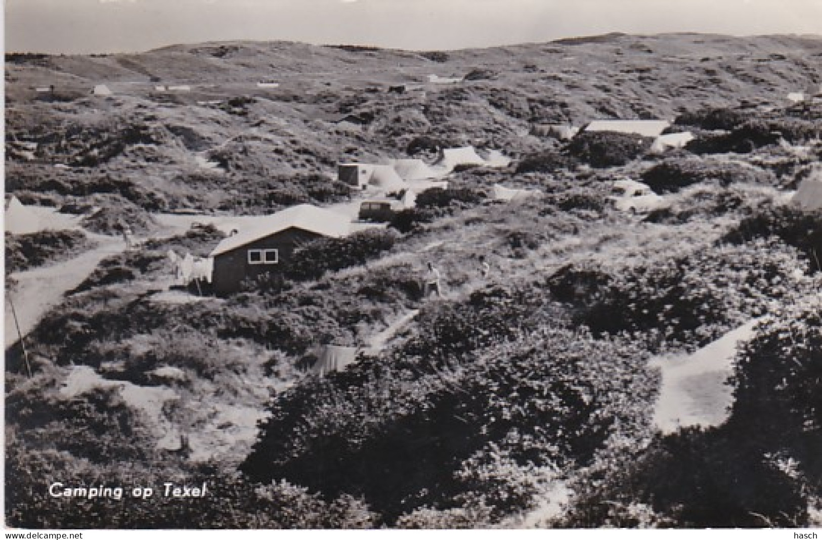 25276Texel, Camping Op Texel-1960(zie Hoeken En Randen) - Texel