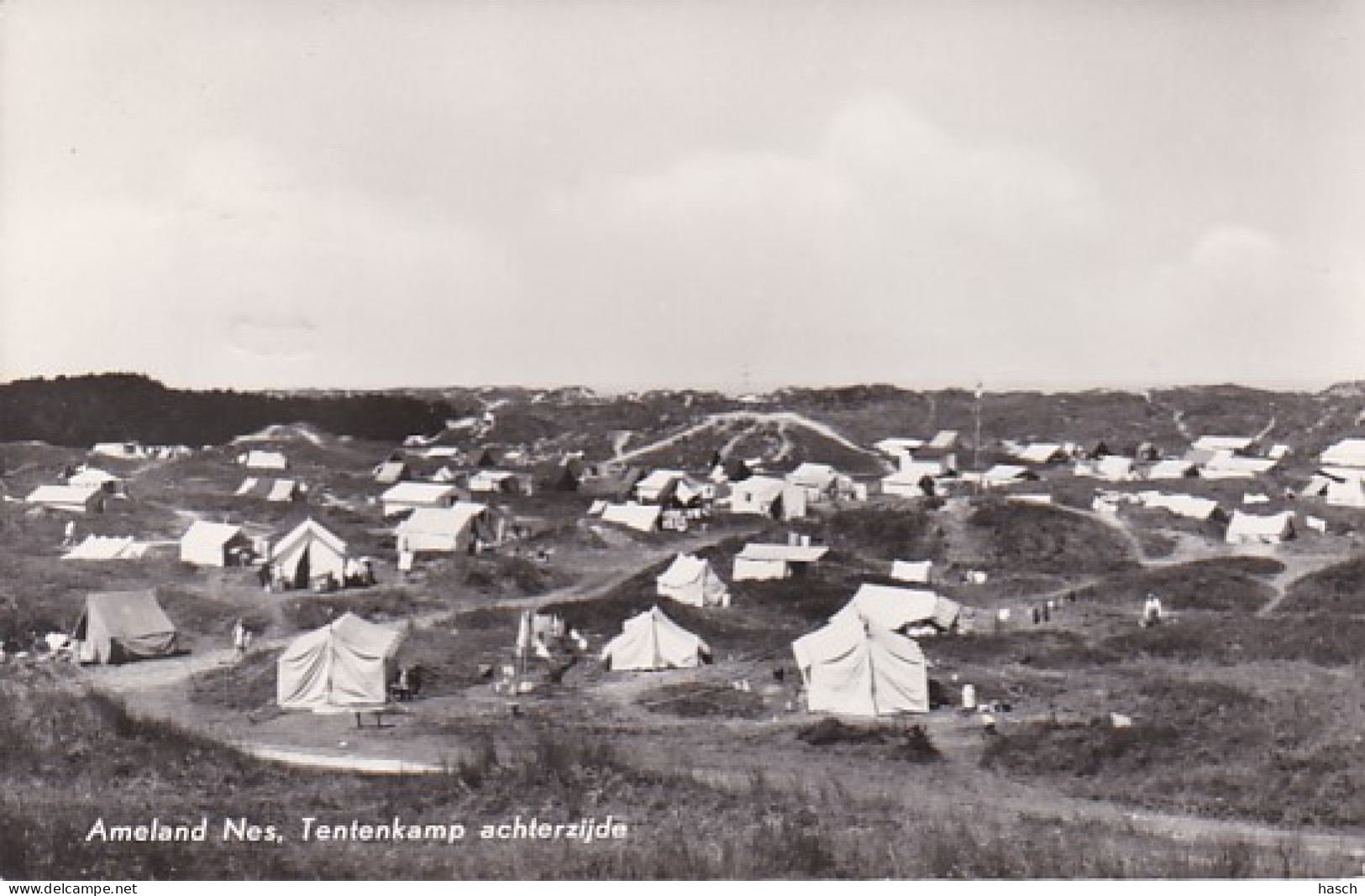 252717Ameland Nes, Tentenkamp Achterzijde -1959 - Ameland