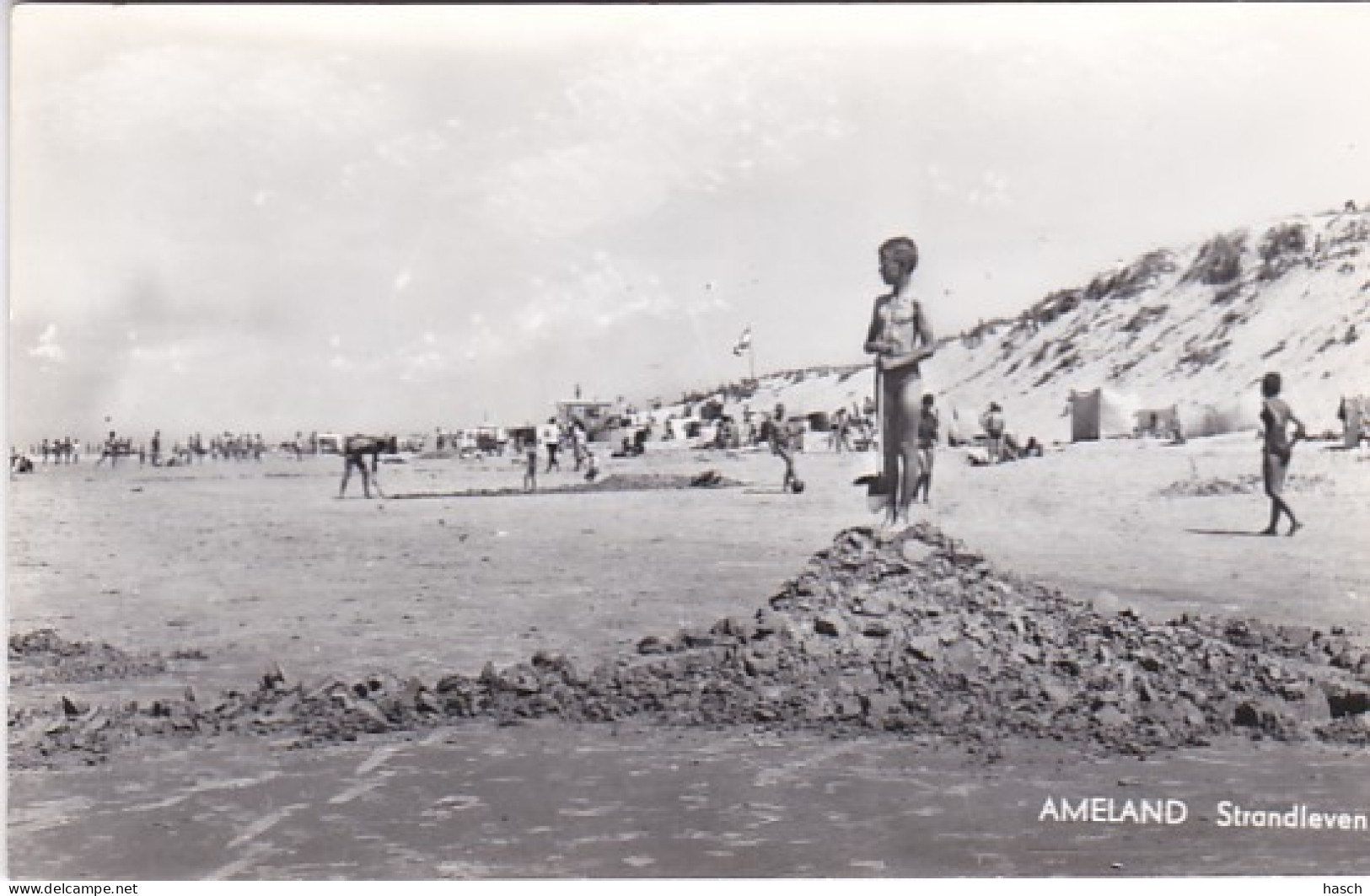 252734Ameland, Strandleven.(FOTO KAART) - Ameland