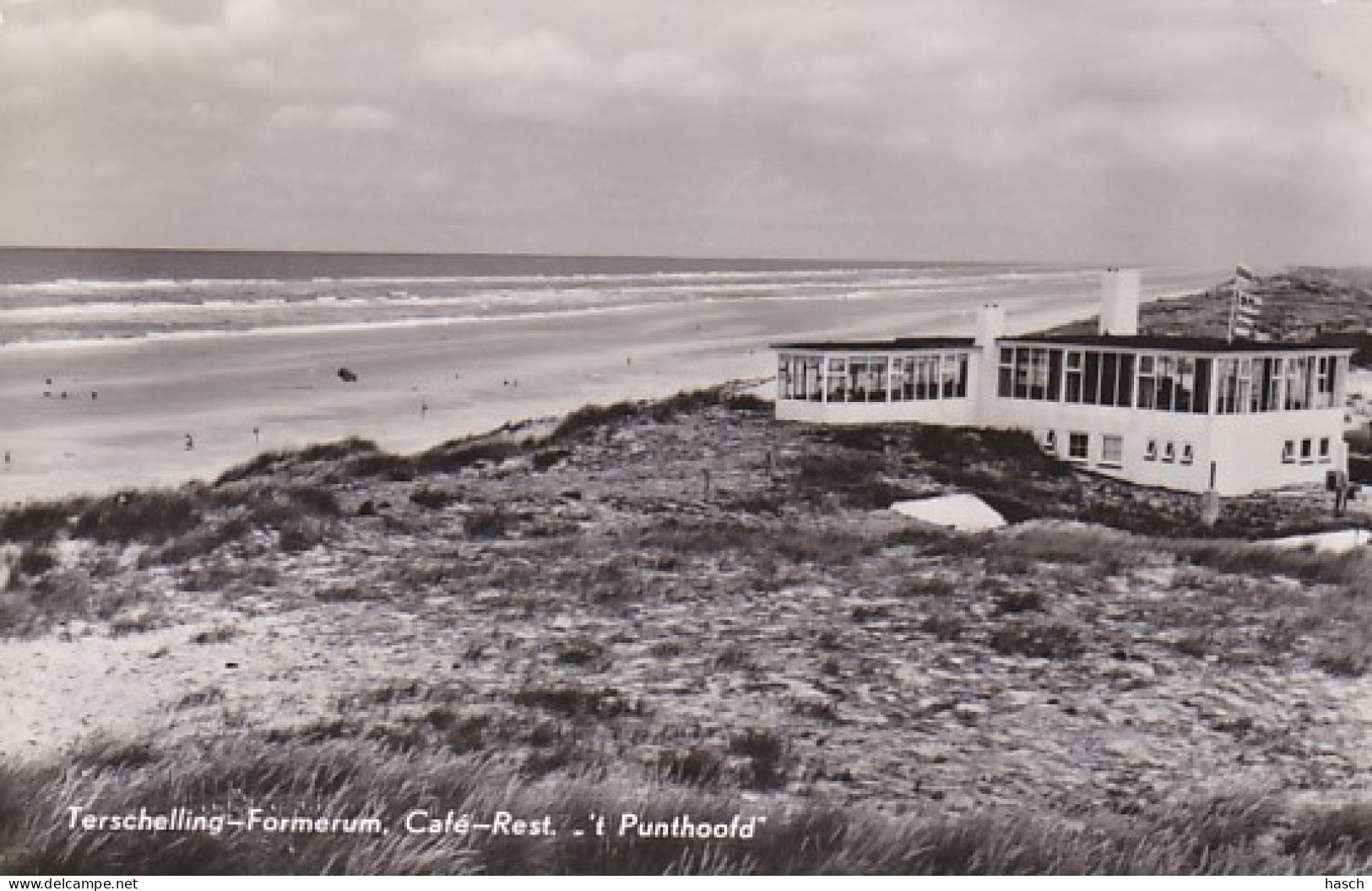 252742Terschelling-Formerum Café-Rest ,, ’t Punthoofd’’-1959(FOTO KAART)(minuscule Vouwen In De Hoeken) - Terschelling