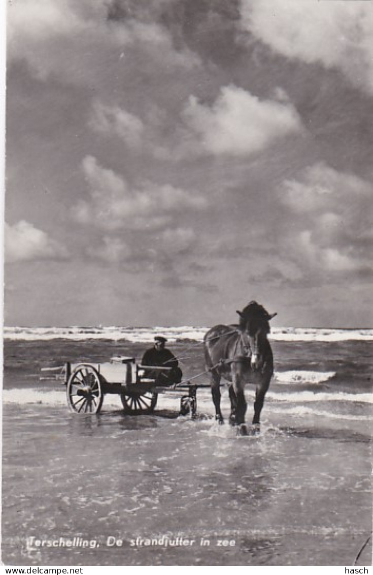 252754Terschelling, De Strandjutter In Zee. (FOTO KAART) - Terschelling