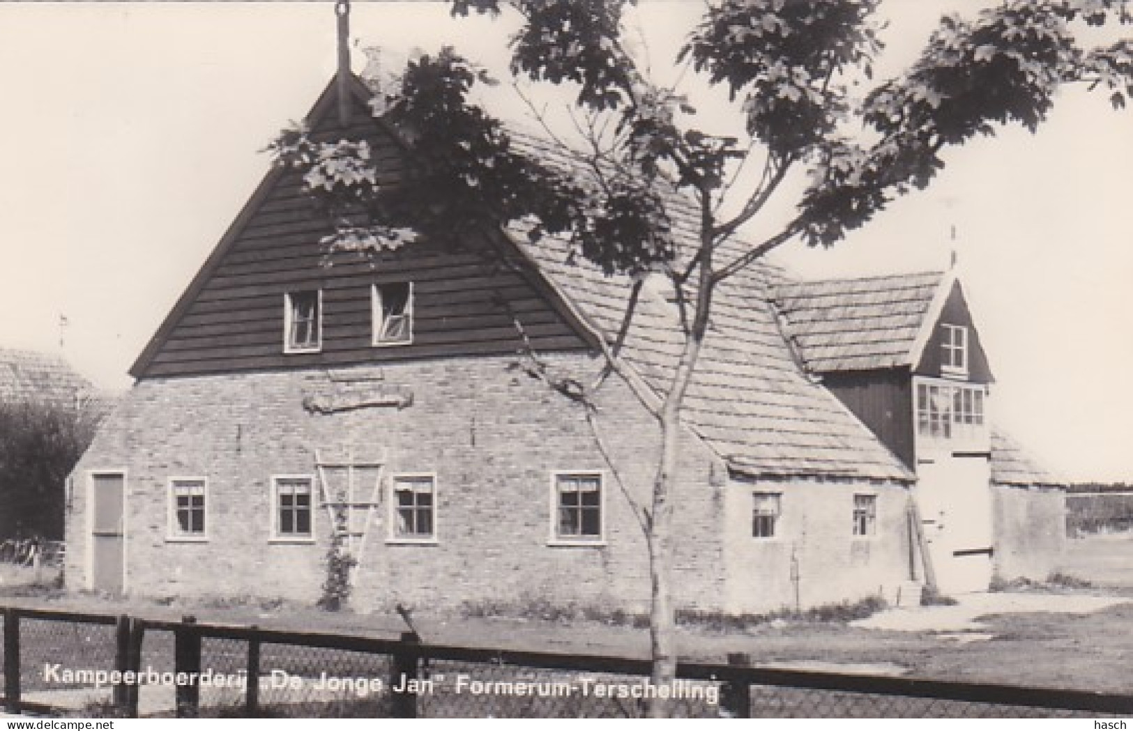 252767Terschelling, Kampeerboerderij ,,De Jonge Jan’’ Formerum.(FOTO KAART) - Terschelling