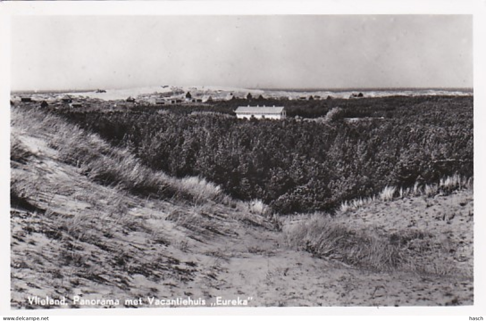 252774Vlieland, Panorama Met Vacantiehuis ,,Eureka’’.(FOTO KAART) (minuscule Vouwen In De Hoeken) - Vlieland