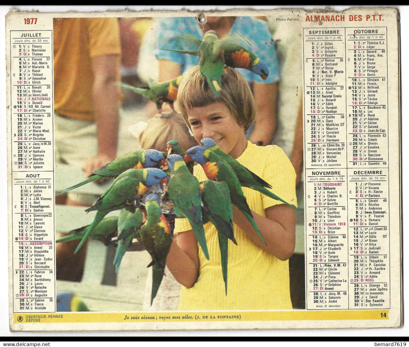 Almanach  Calendrier  P.T.T  -  La Poste -  1977 -  Enfant , Chien , Oiseaux - Grand Format : 1971-80