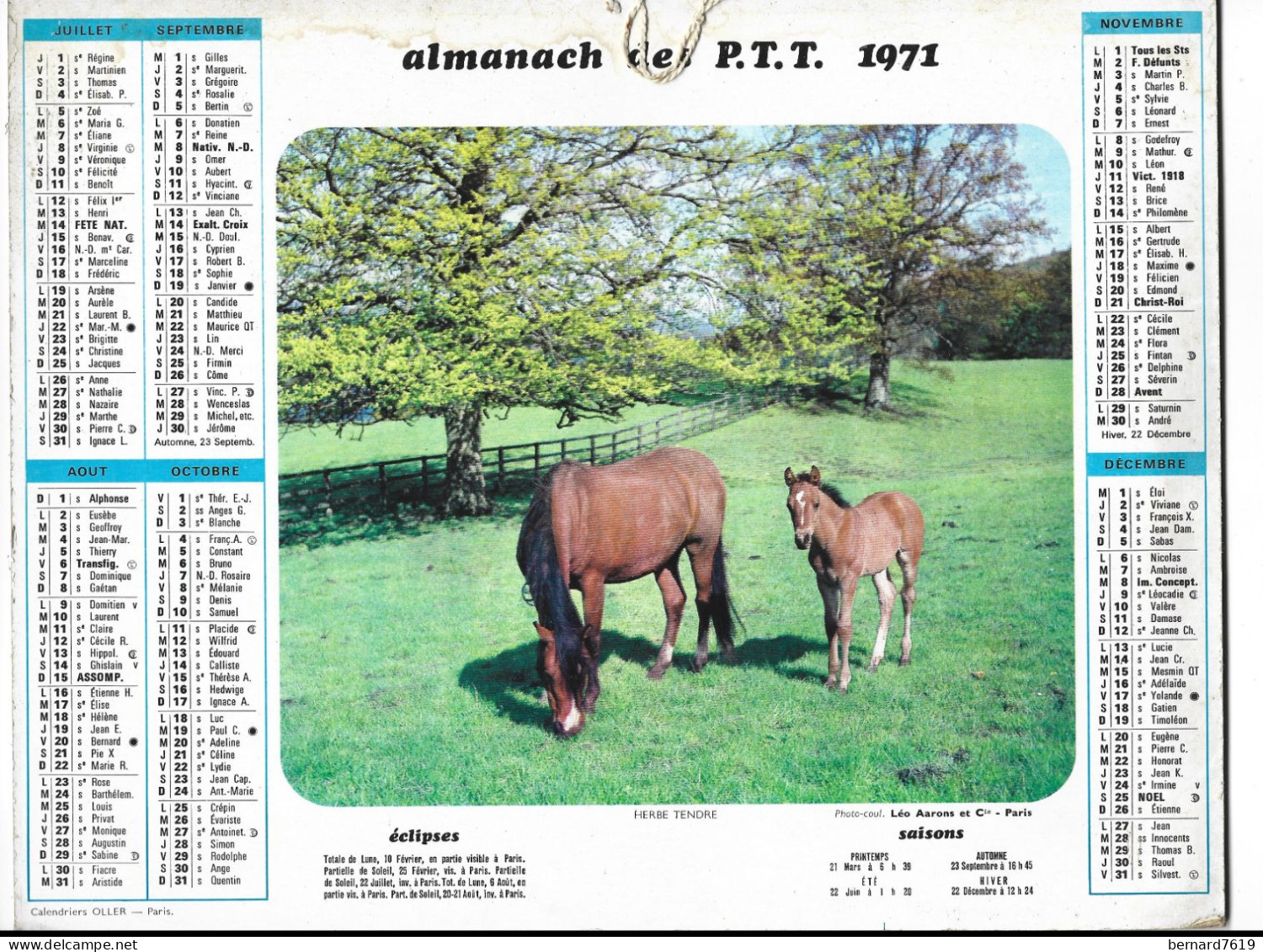 Almanach  Calendrier  P.T.T  -  La Poste -  1971 -   Chien Et Chat - Chevaux - Big : 1971-80