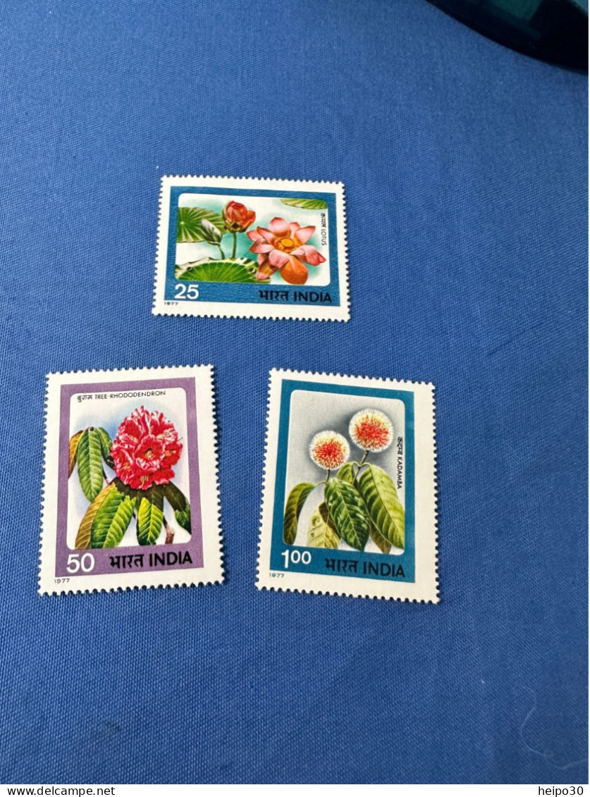 India 1977 Michel 722-724 Blüten MNH - Unused Stamps