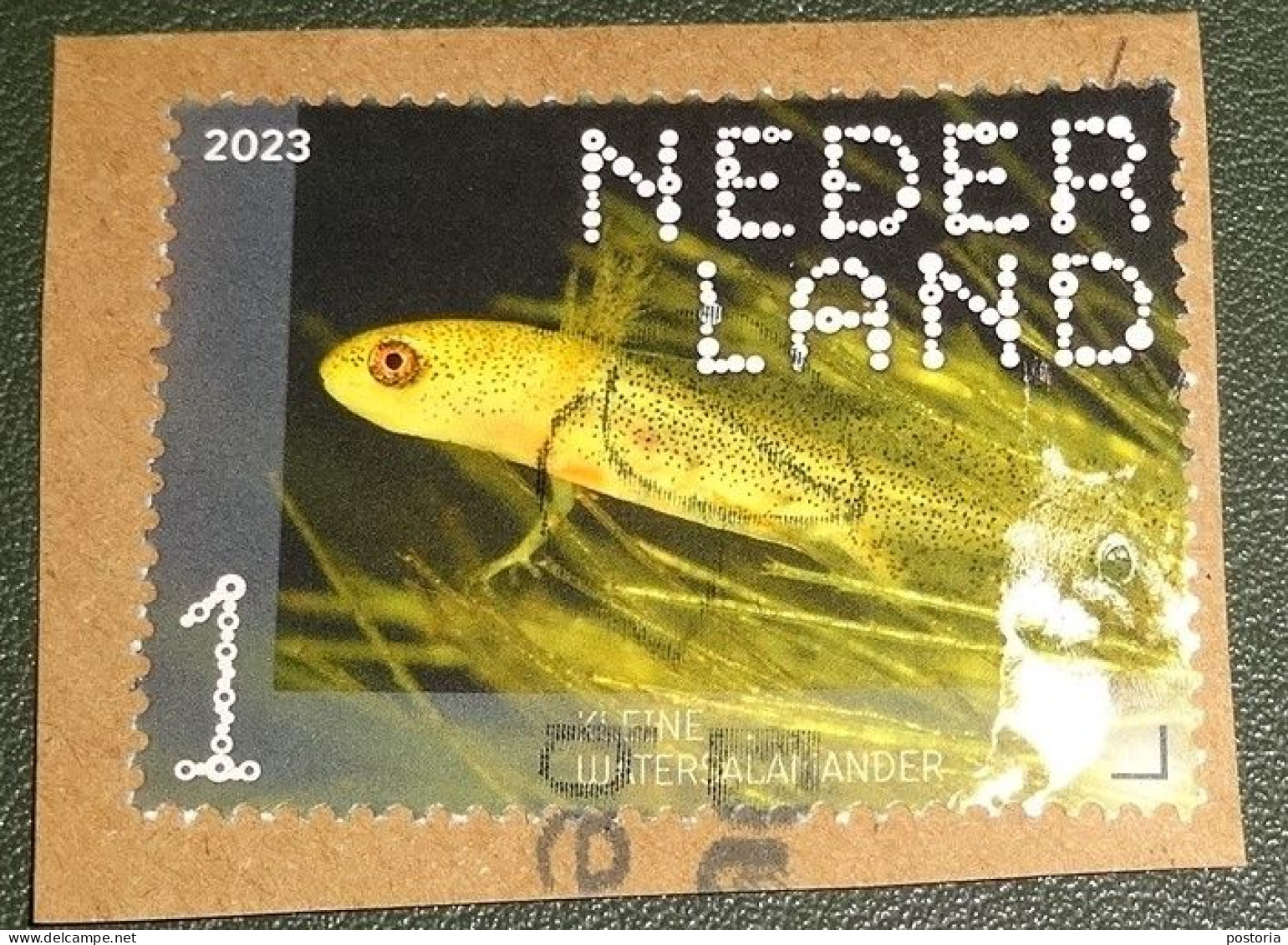 Nederland - NVPH - Xxxx - 2023 - Gebruikt Onafgeweekt- Used On Paper - Beleef De Natuur - Kleine Watersalamander - Used Stamps