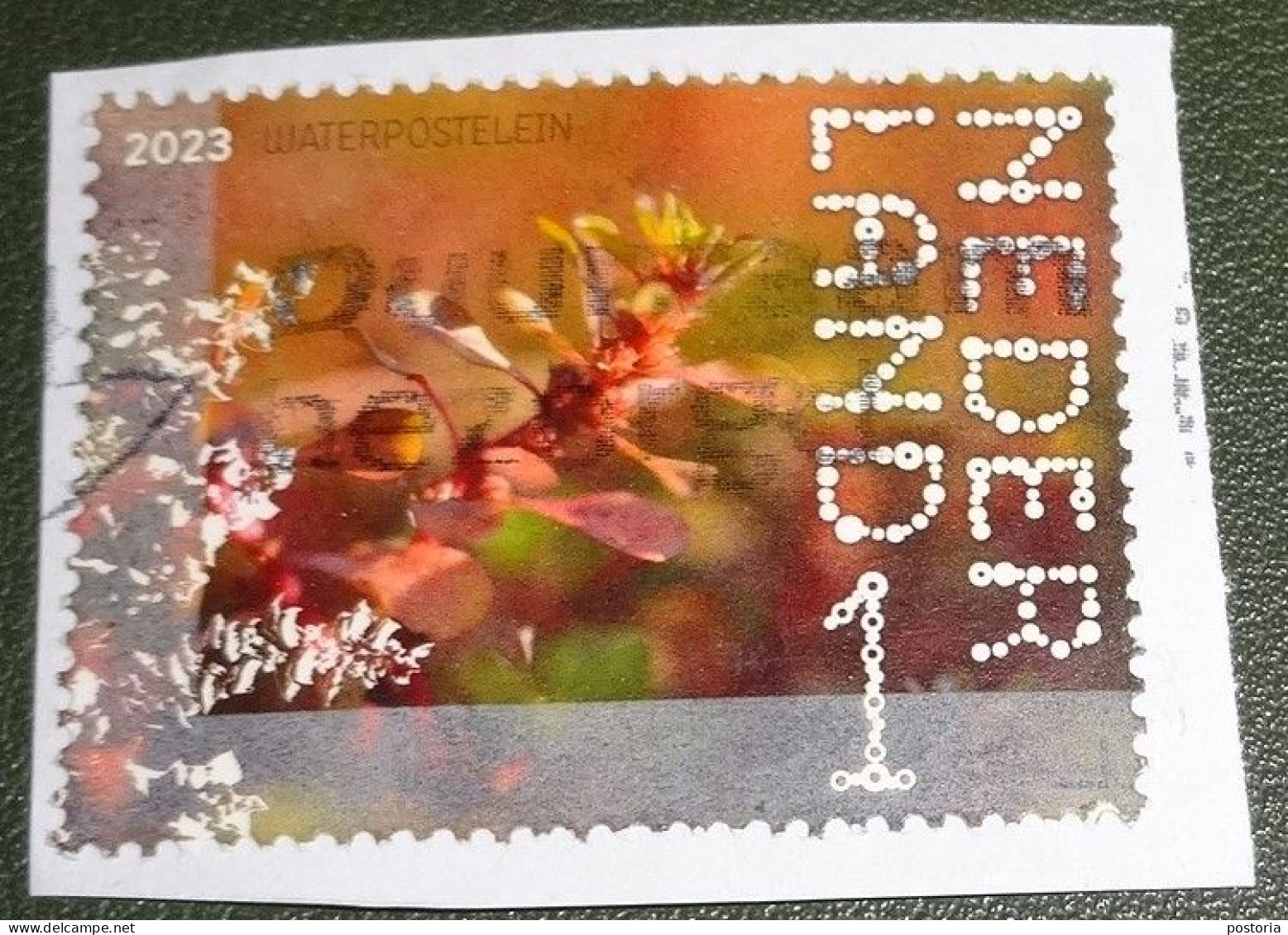 Nederland - NVPH - Xxxx - 2023 - Gebruikt Onafgeweekt - Used On Paper - Beleef De Natuur - Waterpostelein - Used Stamps