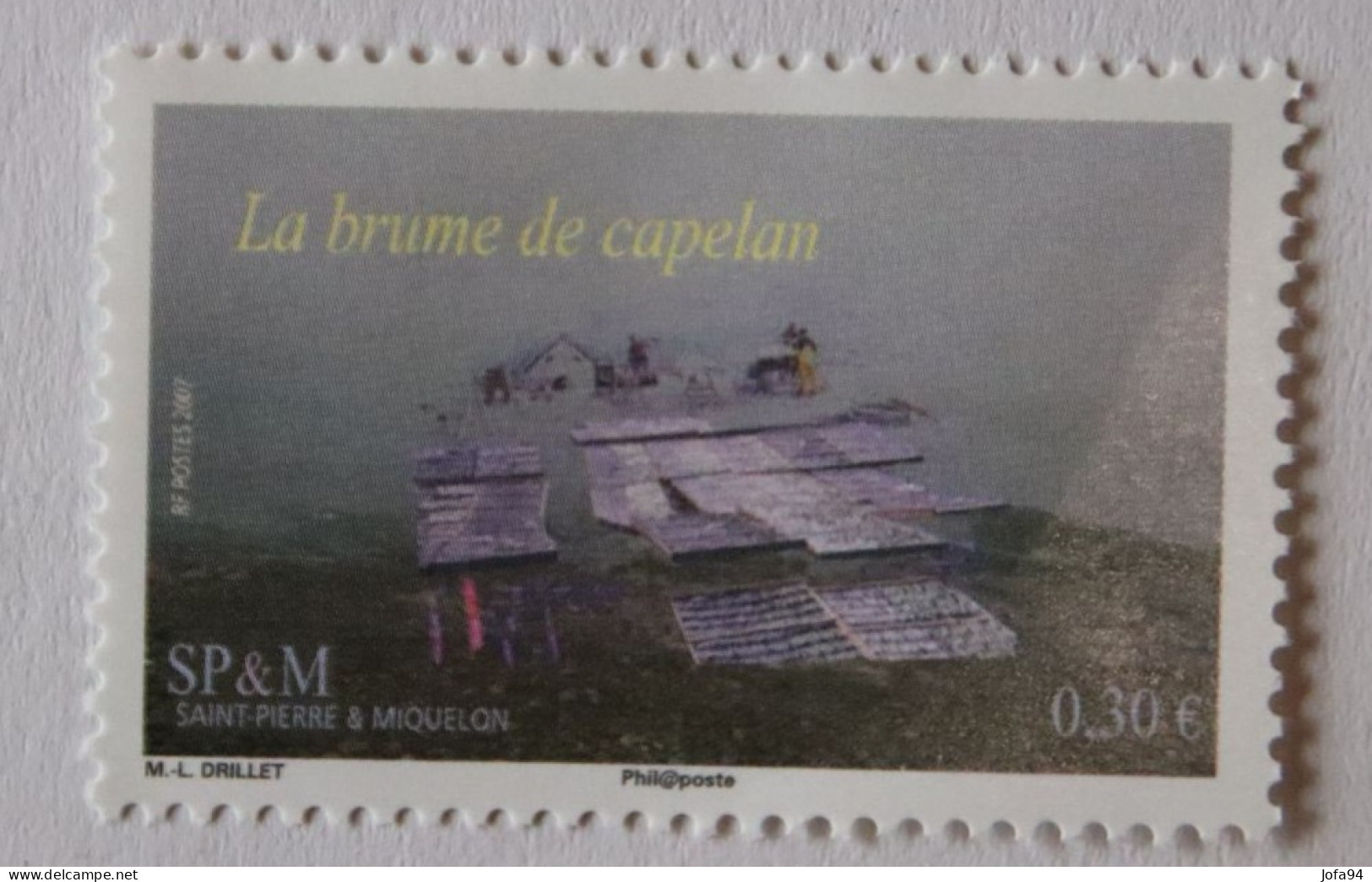 SPM 2007  Paysages La Brume De Capelan  YT 893 Neuf - Unused Stamps