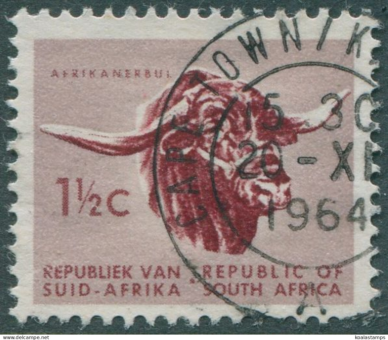South Africa 1961 SG200 1Â½ Cattle FU - Sonstige & Ohne Zuordnung