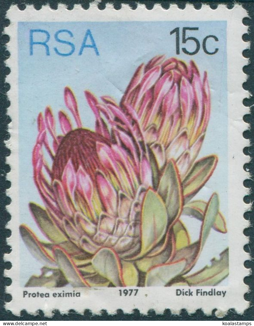 South Africa 1977 SG424 15c Protea Flower MNH - Sonstige & Ohne Zuordnung