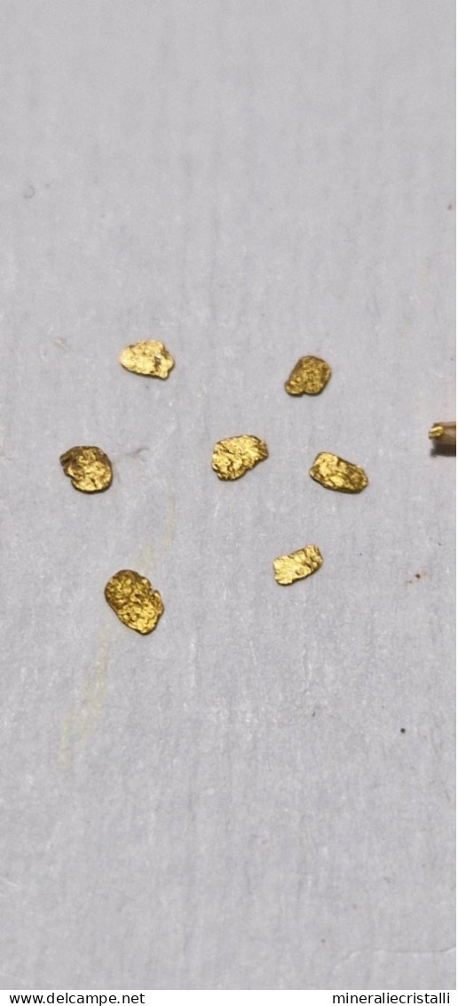 3 scagliette di oro italiano misura 1-2mm fiume Ticino Italia