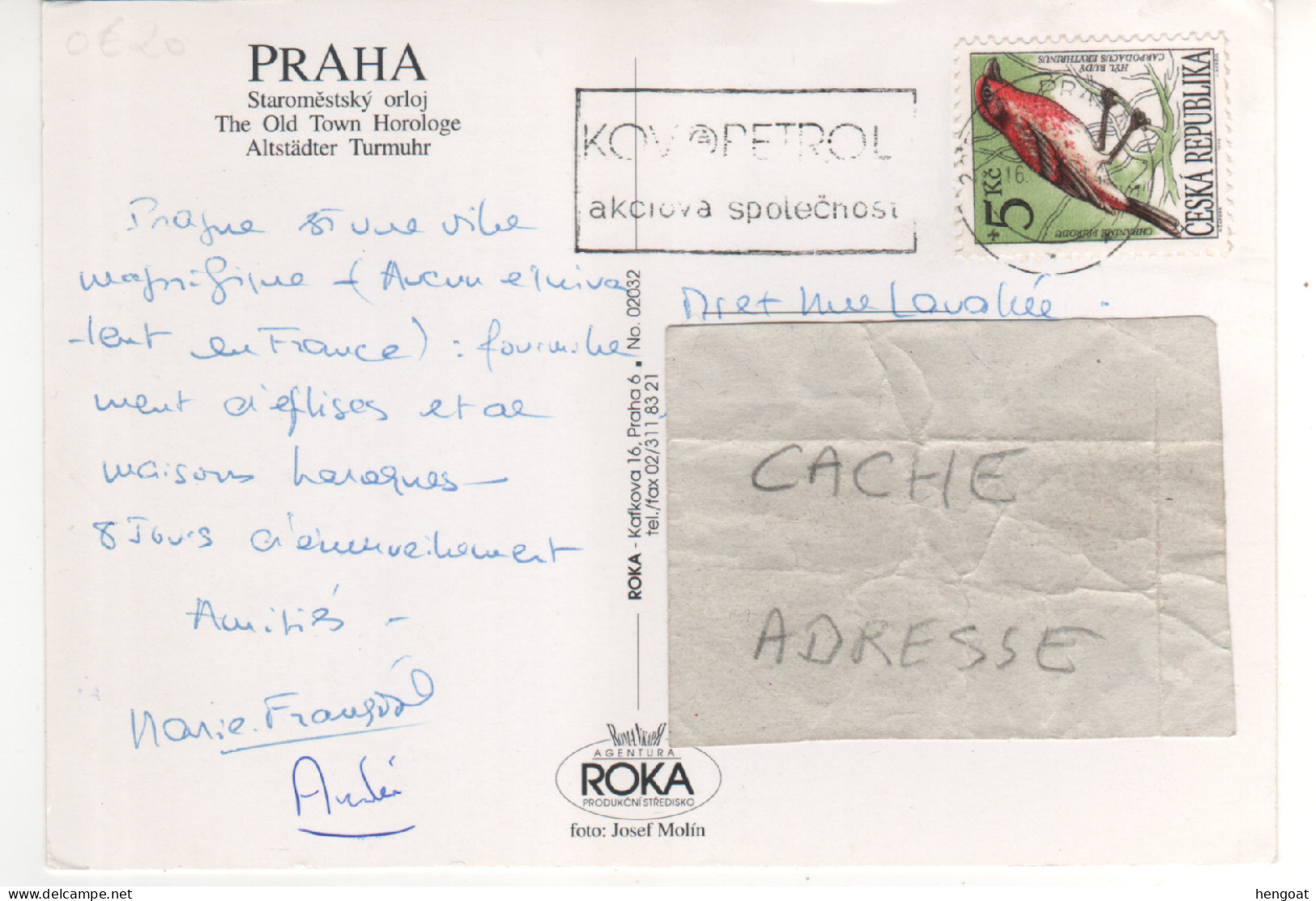 Timbre , Stamp " Oiseau : Carpodacus Erythrinus " Sur CP , Carte , Postcard Du ?? - Lettres & Documents