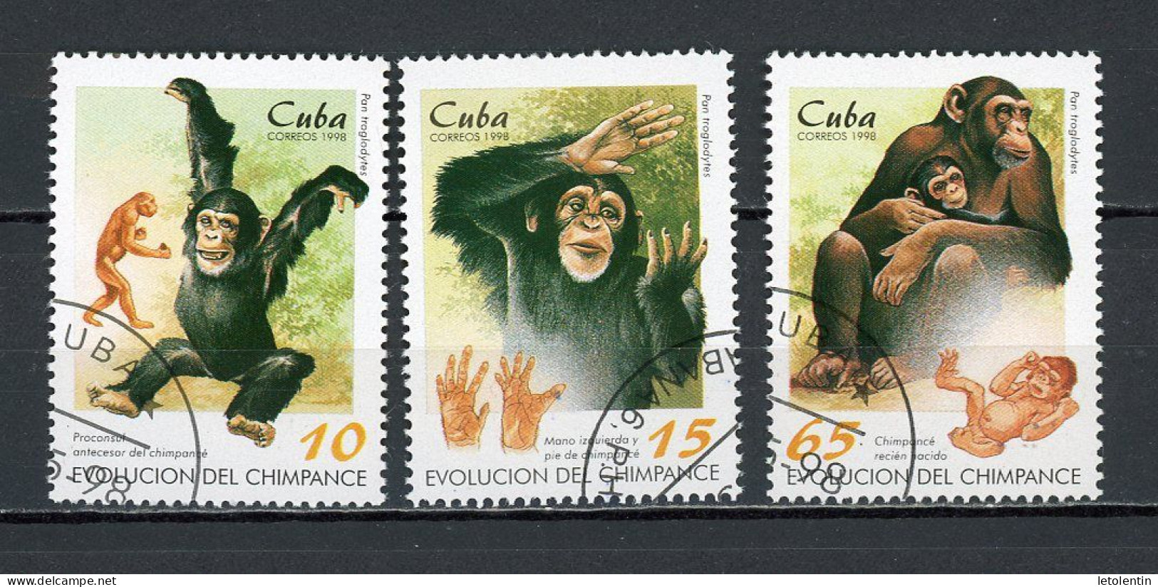 CUBA - LE CHIMPANZÉ  N°Yt 3713+3714+3716 Obl. - Used Stamps