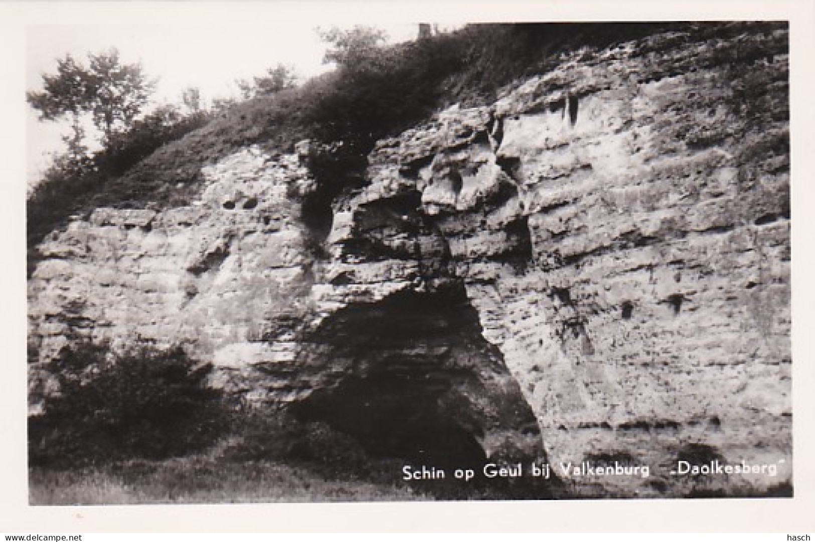 254915Schin Op Geul Bij Valkenburg “Daolkesberg” (FOTO KAART) - Valkenburg