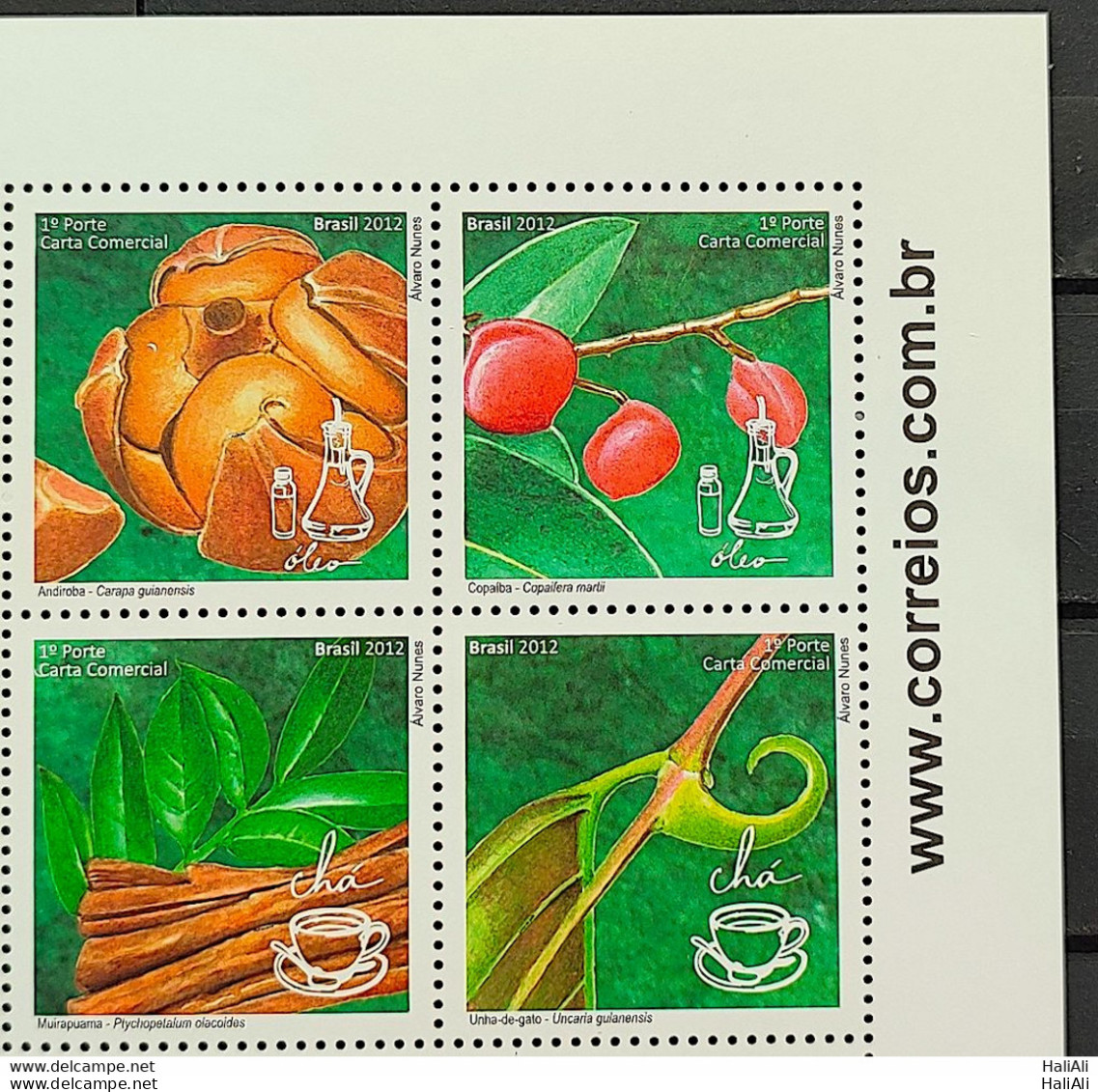 C 3221 Brazil Stamp Brazilian Phytotherapy Health 2012 Vignette Site - Unused Stamps