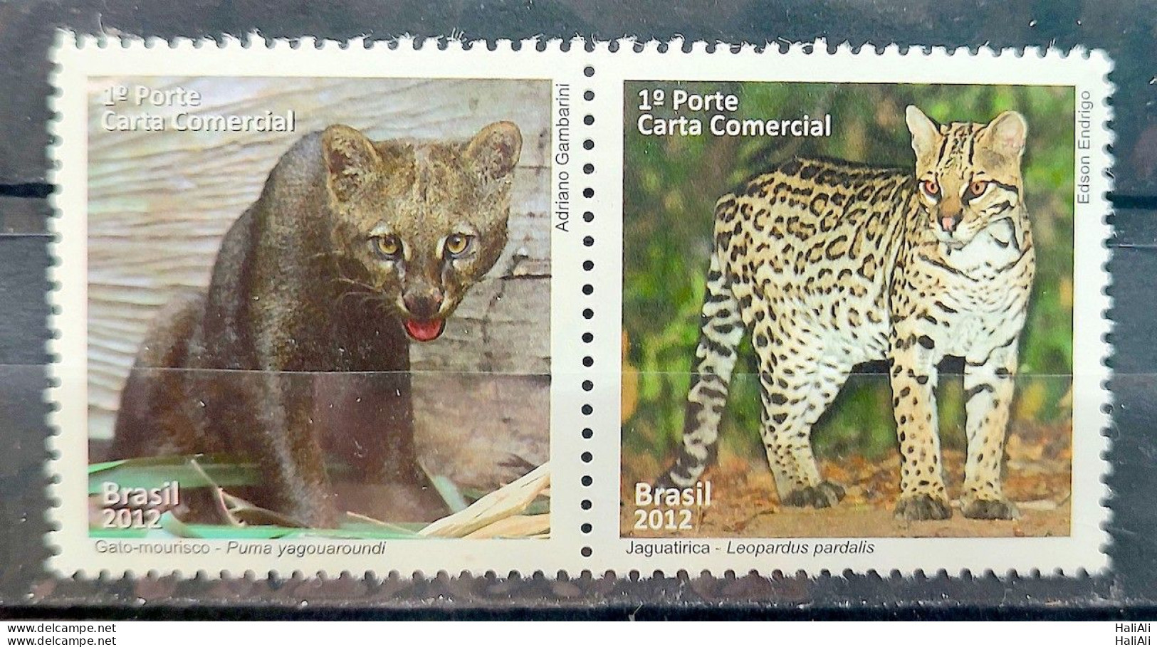 C 3217 Brazil Stamp Fauna Moorish Cat And Ocelot Feline 2012 Complete Series - Unused Stamps