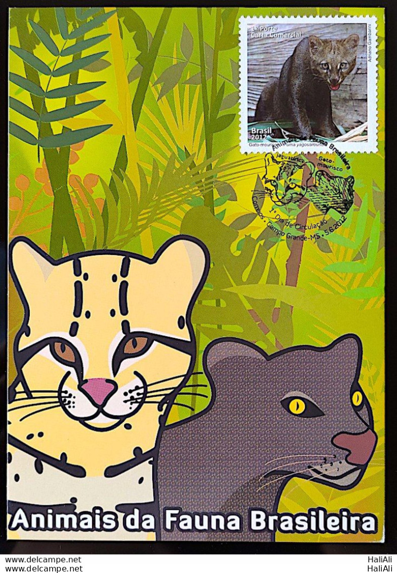 Brazil Maximum Postcard Brazilian Fauna Animals Ocelot And Gato Mourisco 2012 Postcard CBC MS - Maximumkarten