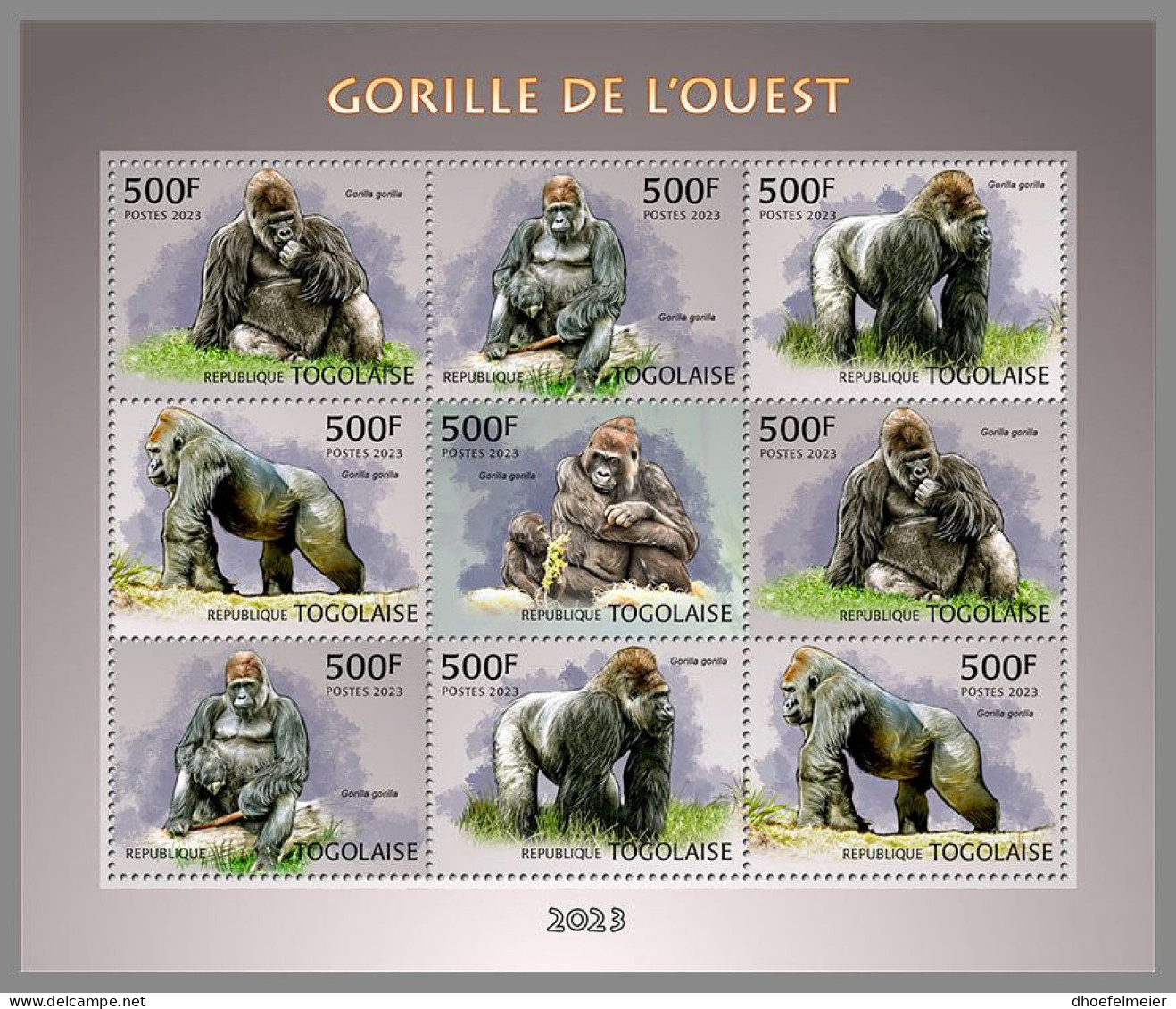 TOGO 2023 MNH Western Gorilla Gorrilas M/S – OFFICIAL ISSUE – DHQ2409 - Gorilles