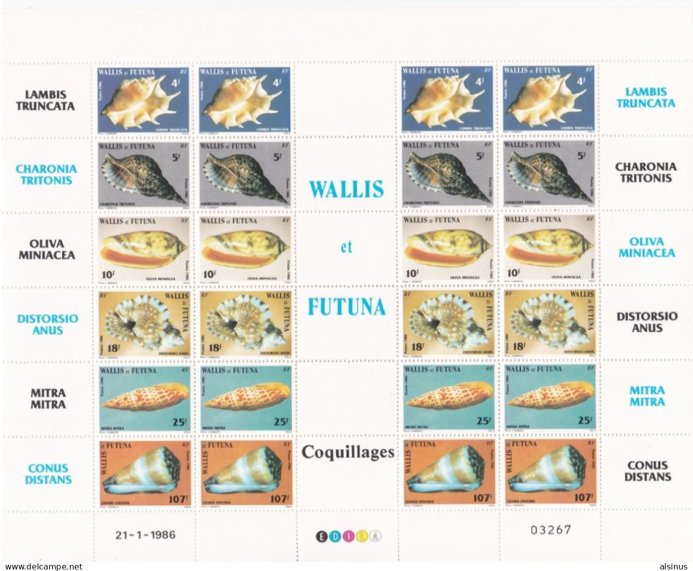WALLIS ET FUTUNA - 1986 - N° YVERT. 337 à 342 - COQUILLAGES - FEUILLET NEUF - Unused Stamps