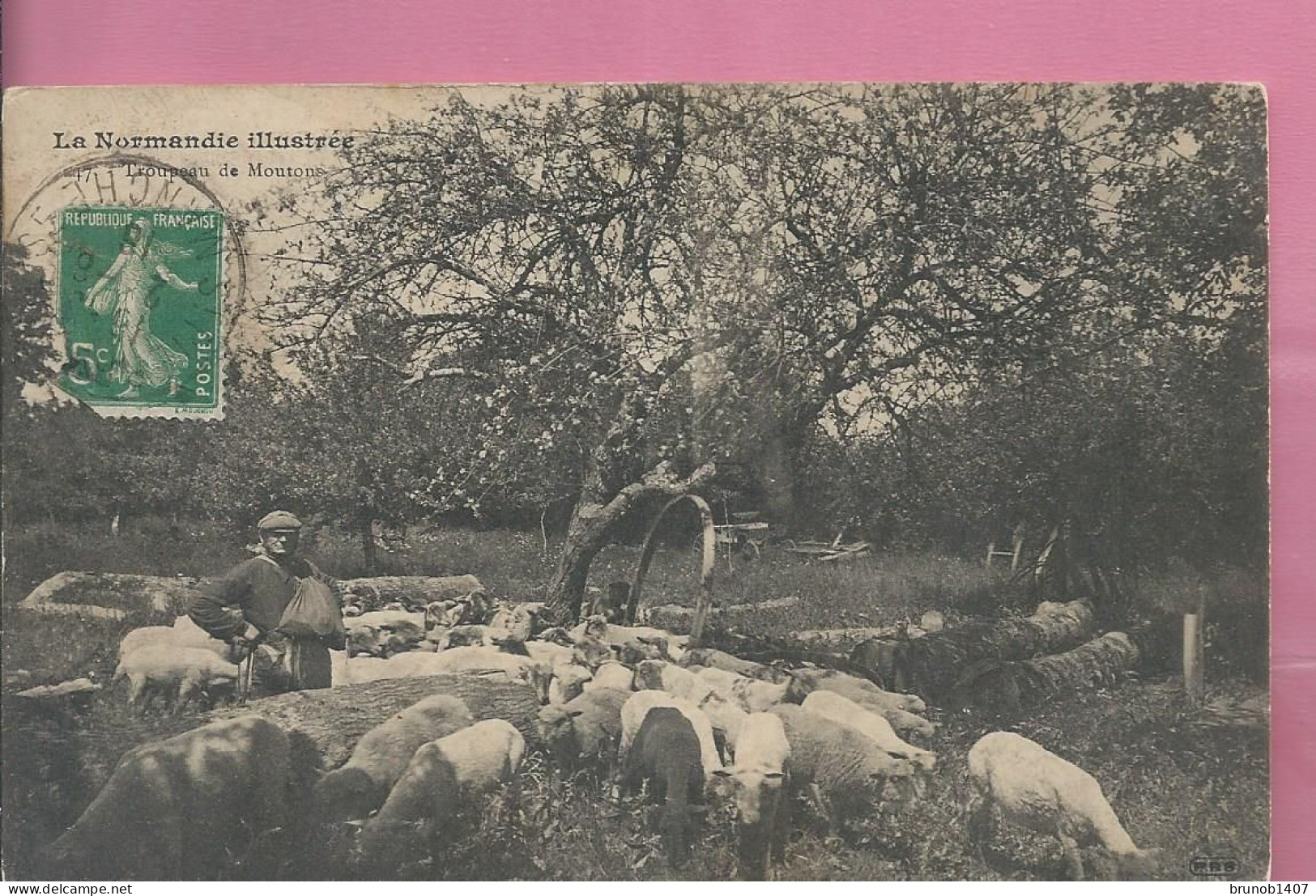 LA NORMANDIE  ILLUSTREE  Troupeau De Moutons 1916 - Autres