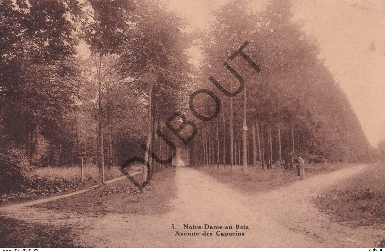 Postkaart - Carte Postale - Jezus Eik - Notre Dame Au Bois  (C5780) - Overijse