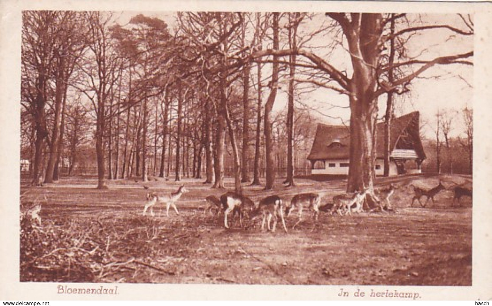 256671Bloemendaal, In De Hertekamp. - Bloemendaal