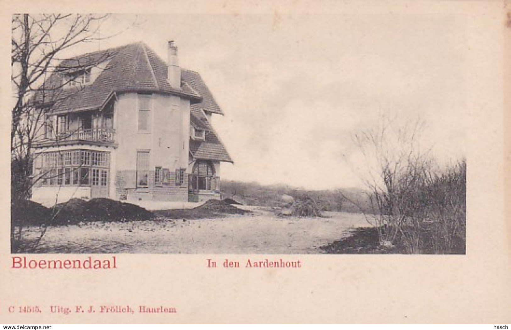 256676Bloemendaal, In Den Aardenhout Rond 1900 - Bloemendaal