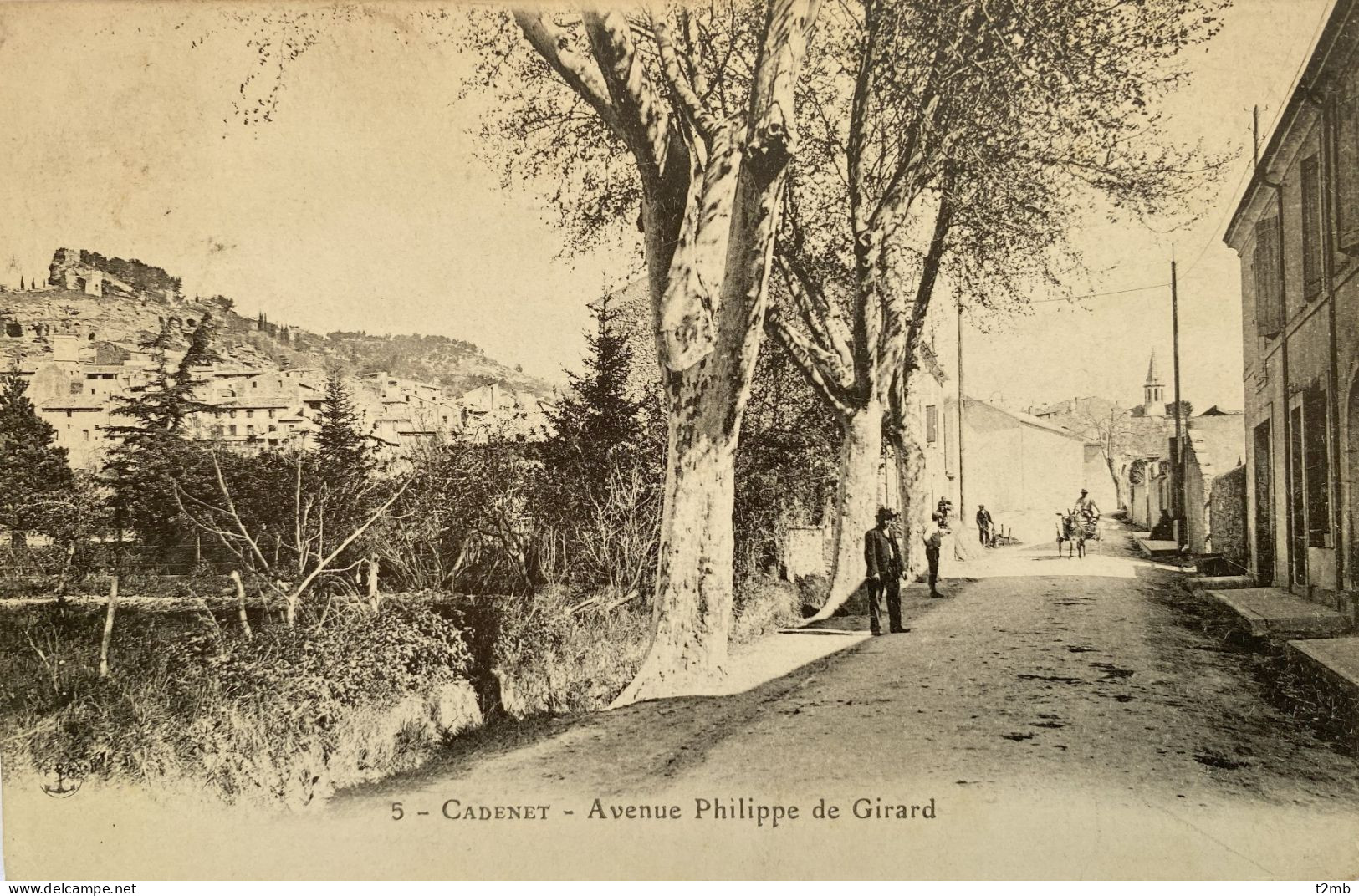 CPA CADENET (Vaucluse) - Avenue Philippe De Girard - Cadenet