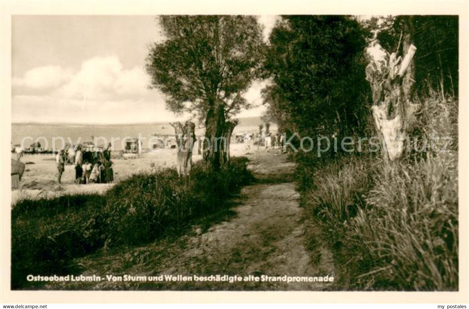 73696317 Lubmin Ostseebad Von Sturm Und Wellen Beschaedigte Alte Strandpromenade - Lubmin