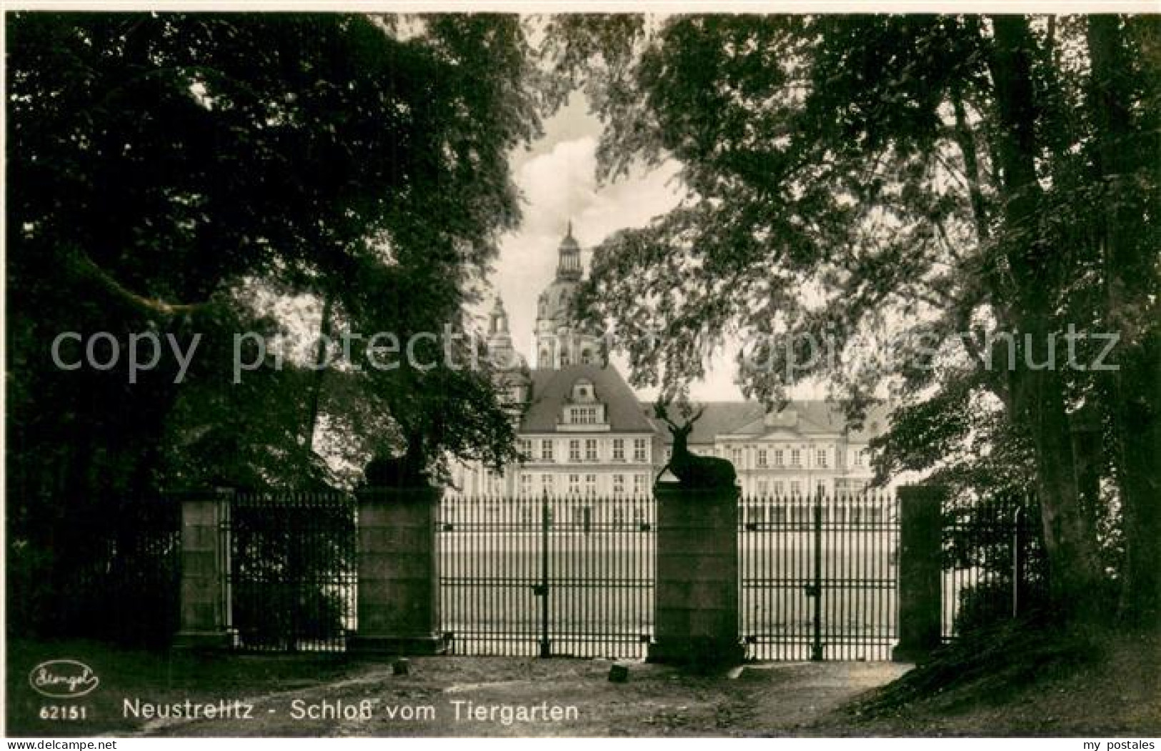 73696262 Neustrelitz Schloss Vom Tiergarten Neustrelitz - Neustrelitz