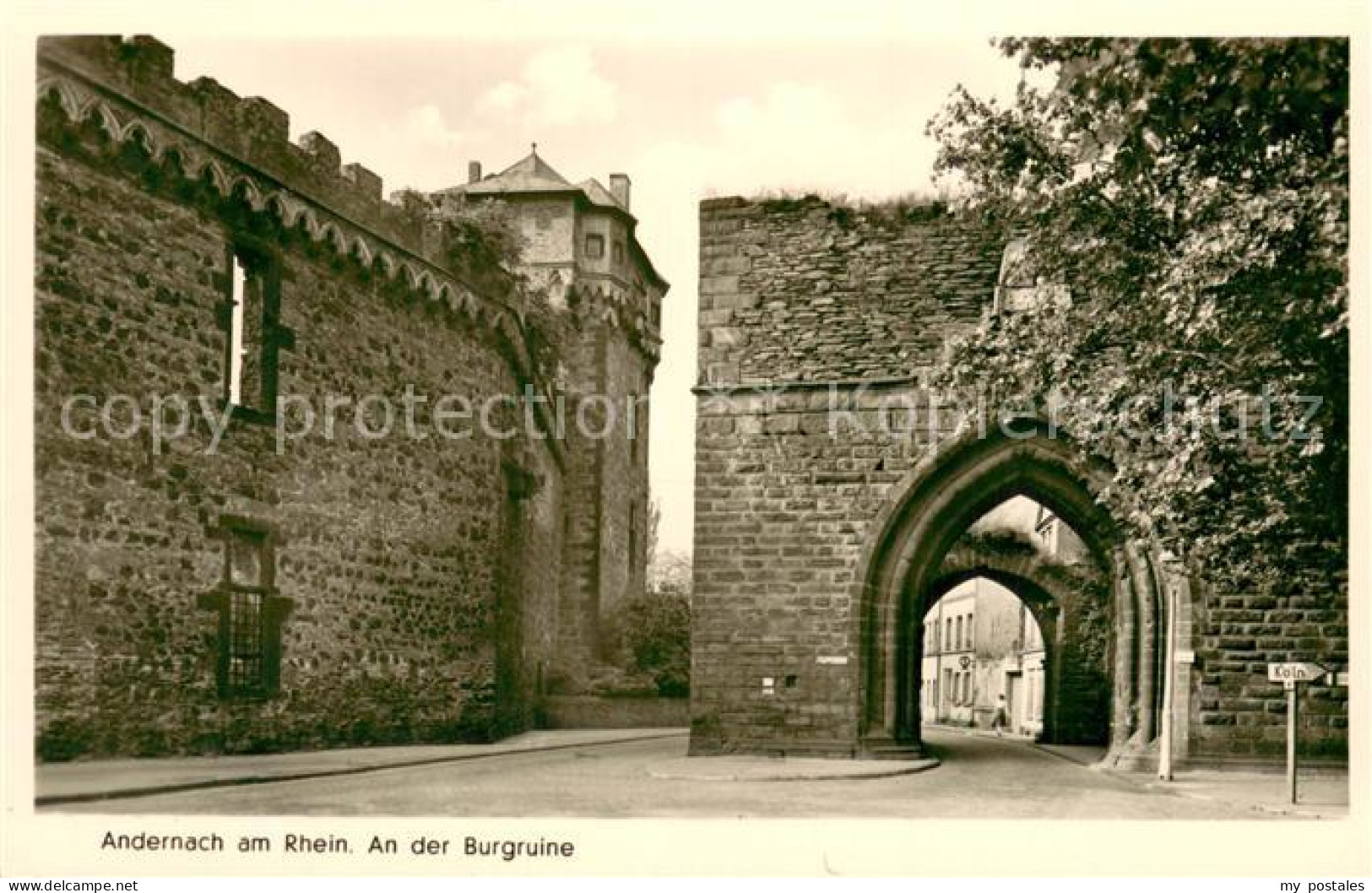 73696082 Andernach Burgruine Andernach - Andernach